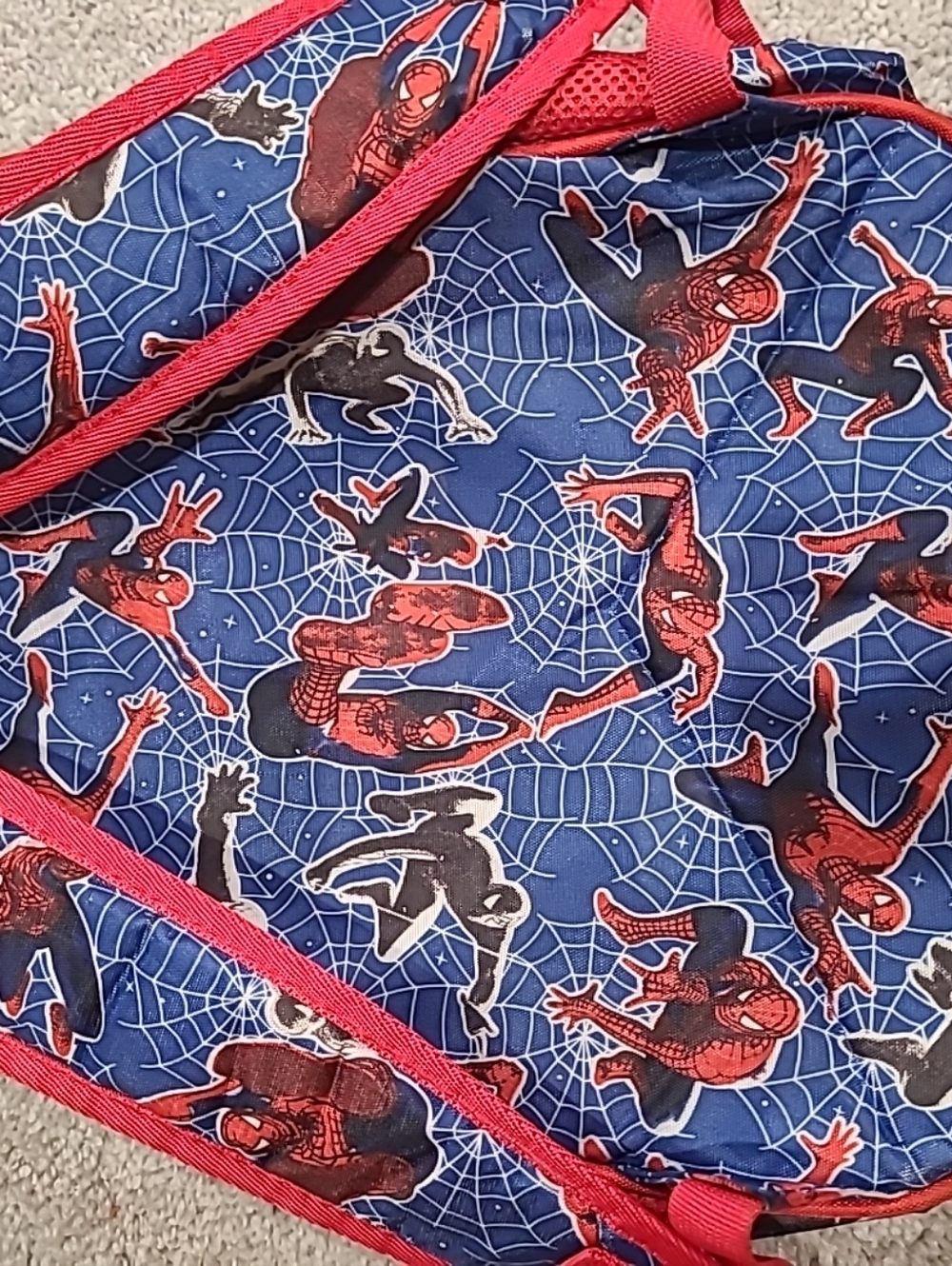3D Spiderman Kids Backpack - Picture 16 of 16